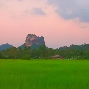 View Lodge