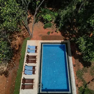 Isanka Lion Sigiriya