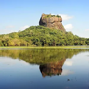 Sunshine & Sigiriya