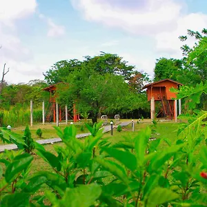 Hotel Sigiri Royal Point Tree House, Sigiriya
